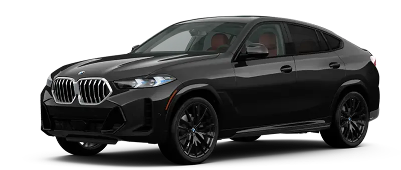 The X6